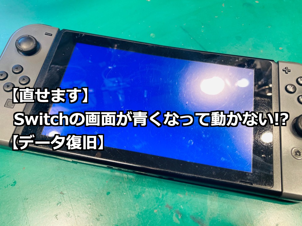 直せます】Switchの画面が青くなって動かない!?【データ復旧