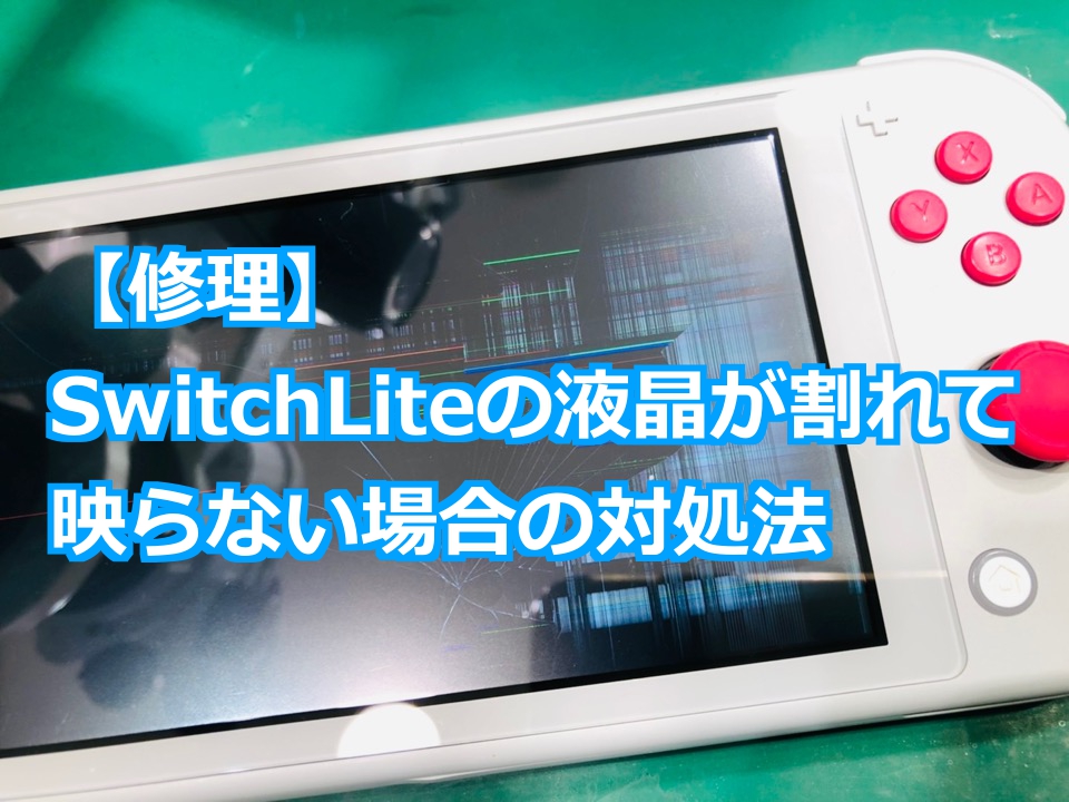 Nintendo Switch lite ほぼ未使用 保証期間内
